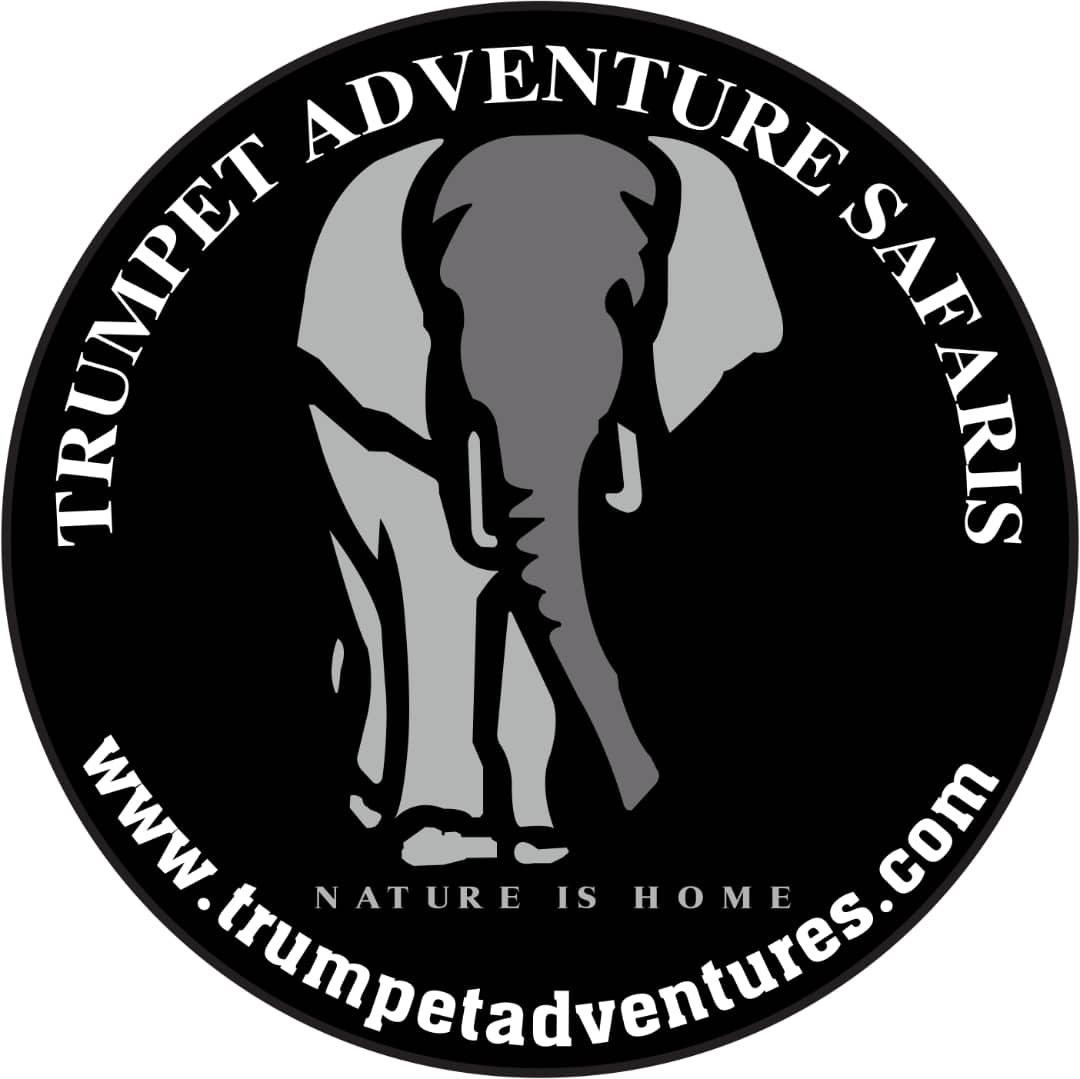 Trumpet Adventure Safaris