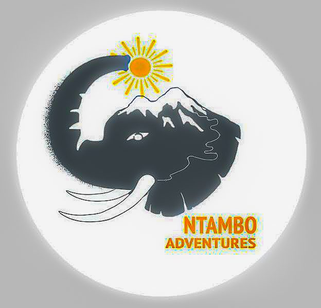 NTAMBO ADVENTURES LIMITED, 