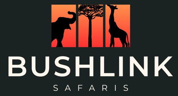 Bushlink Safaris