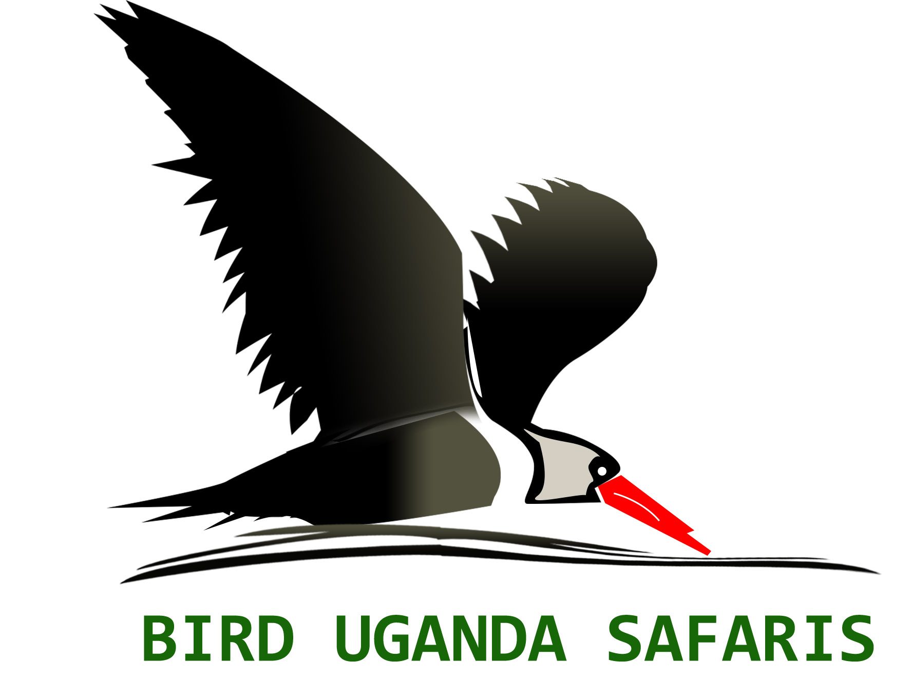 Bird Uganda Safaris