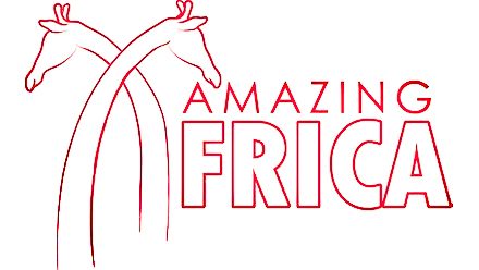 Amazing Africa