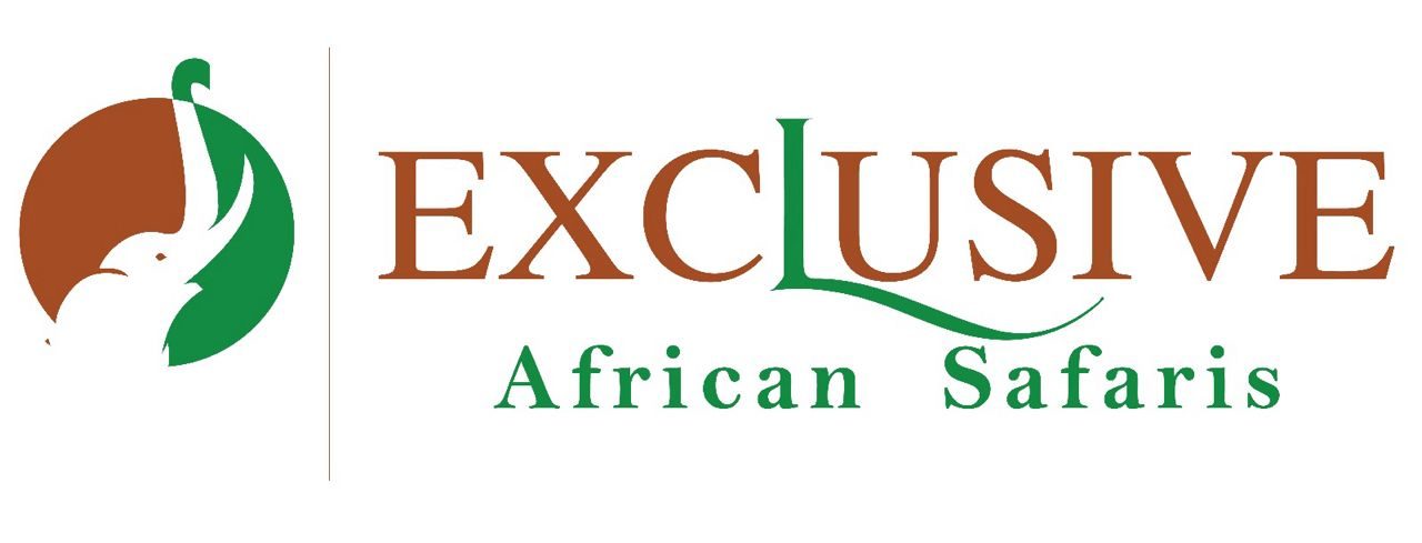 Exclusive African Safaris