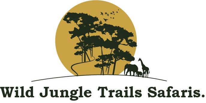 Wild Jungle Trails, 