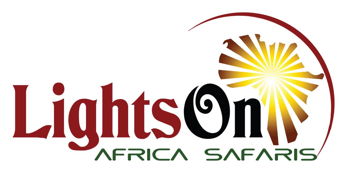 Lights on Africa Safaris, 
