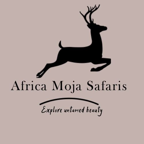 Africa Moja Safaris, ,