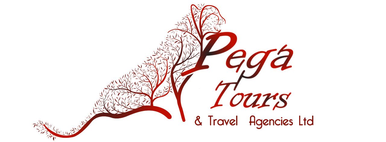 Pega Tours & Travel Agencies Ltd, 