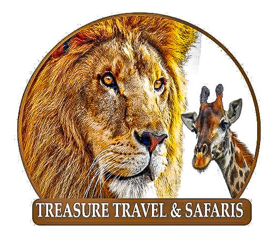 Treasure Travels and safaris