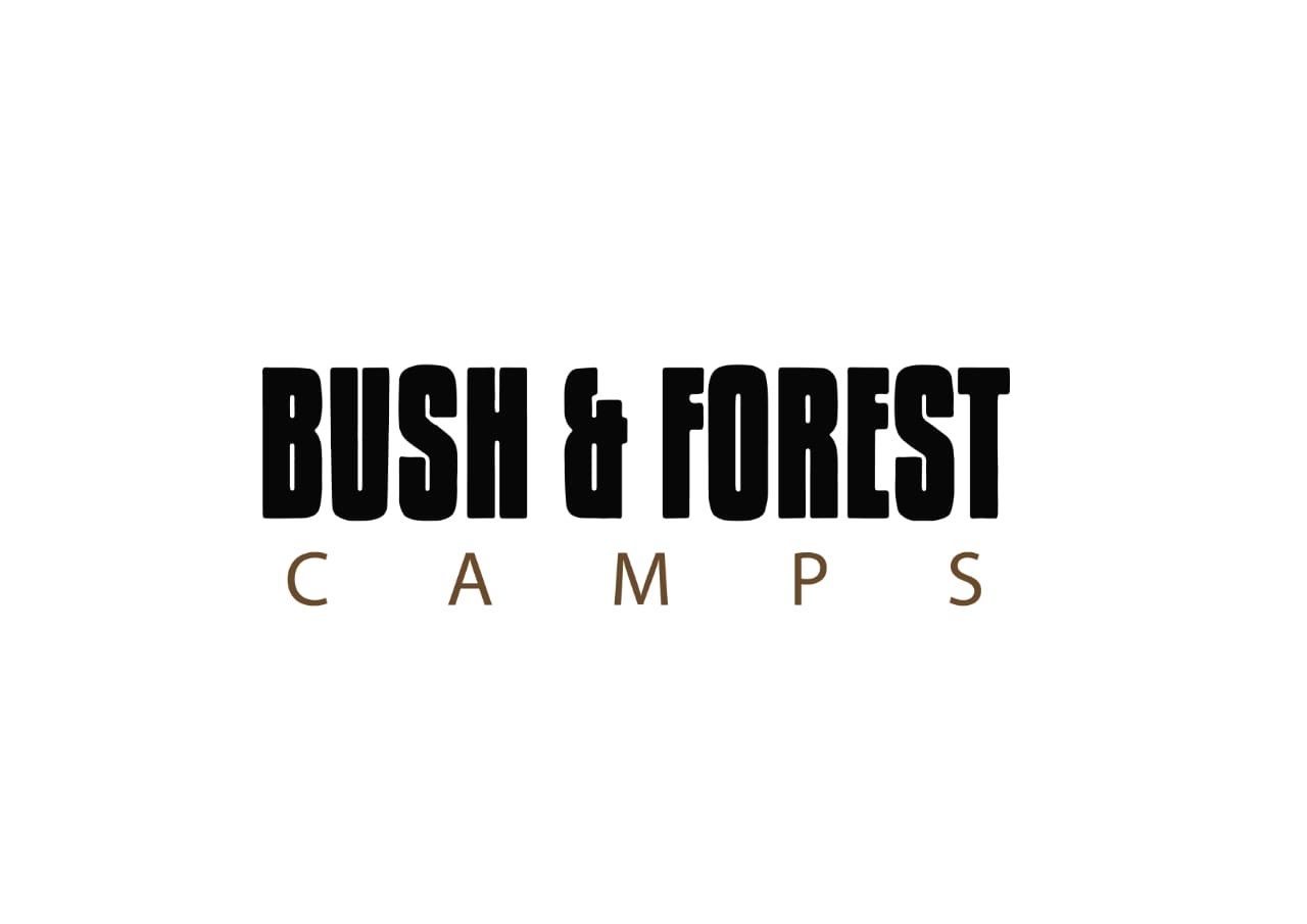 Bush and Forest Camps