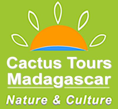 Cactus Tours Madagascar