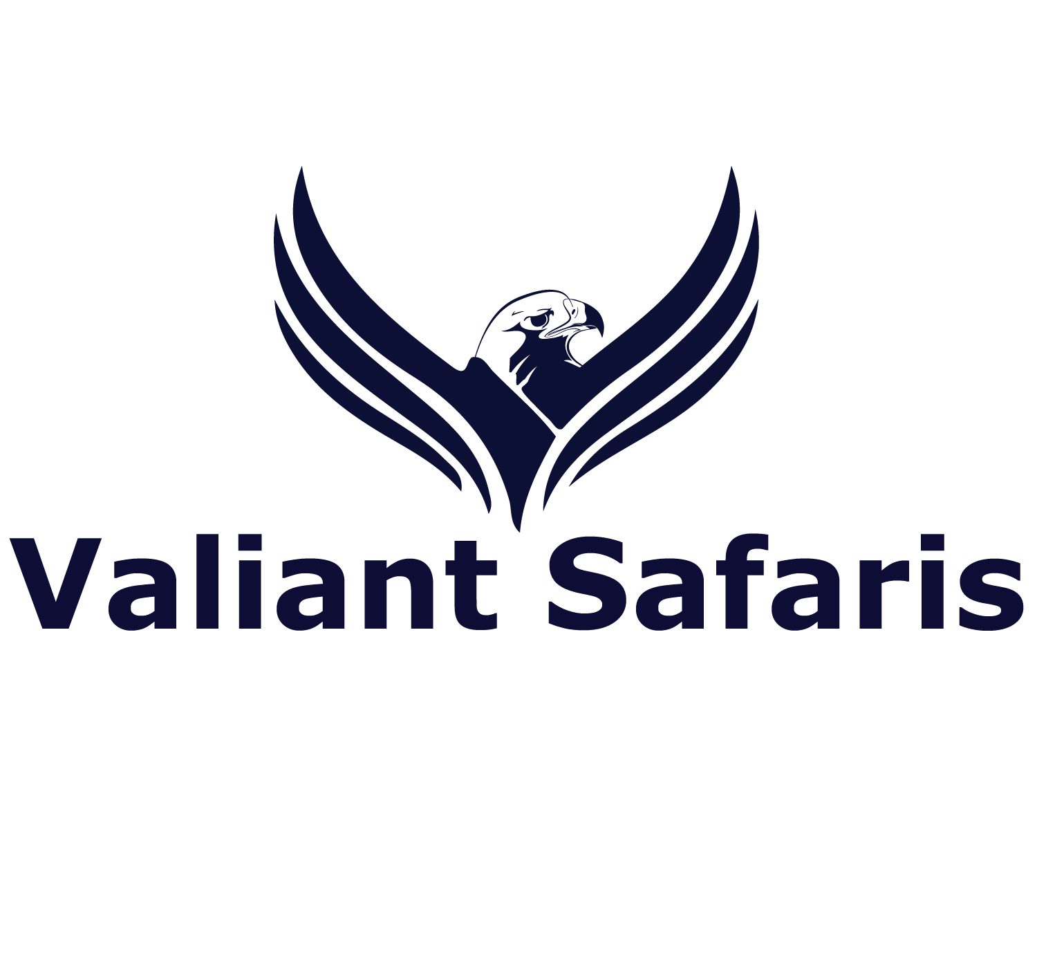 Valiant Safaris