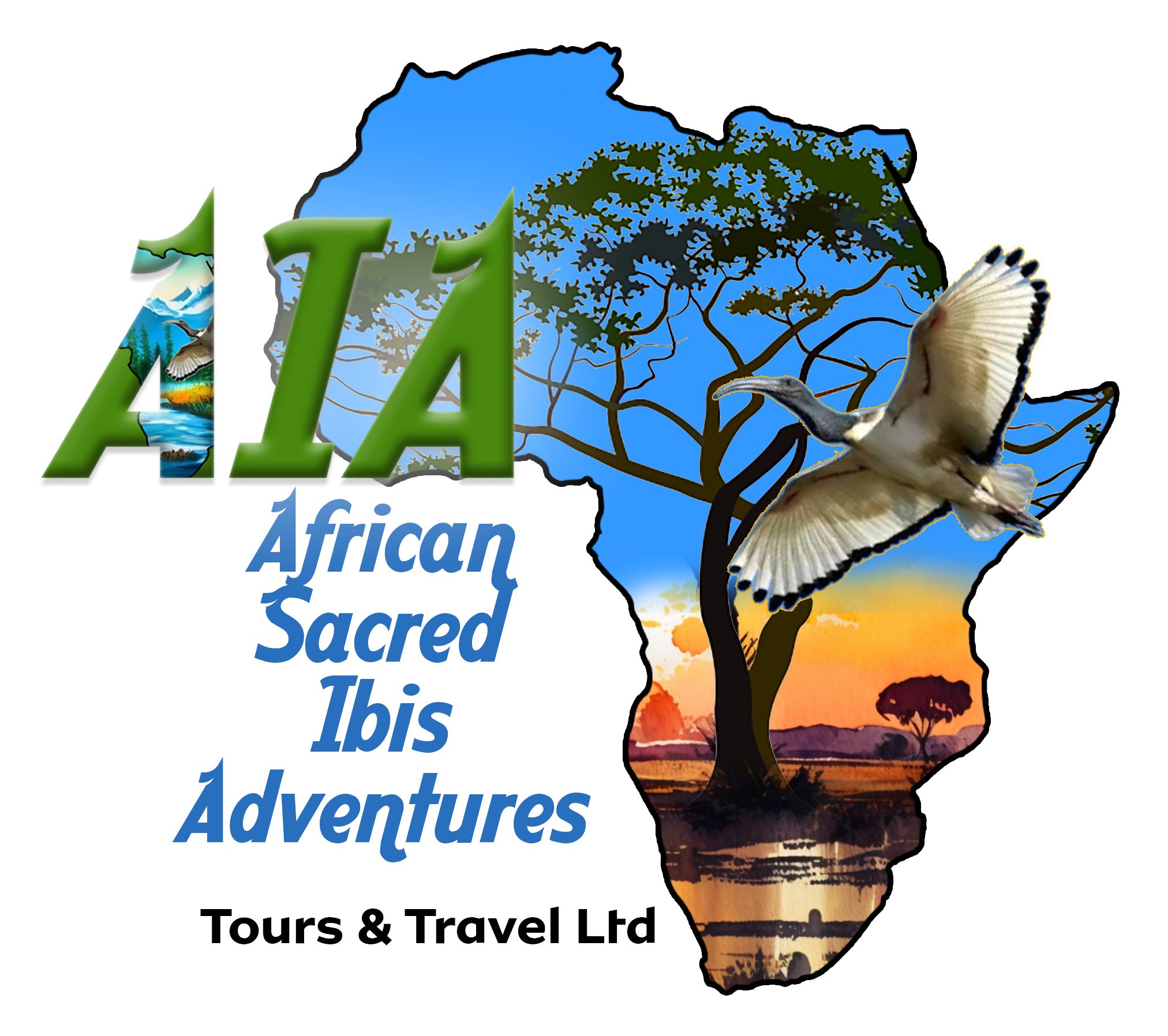 African Sacred Ibis Adventures