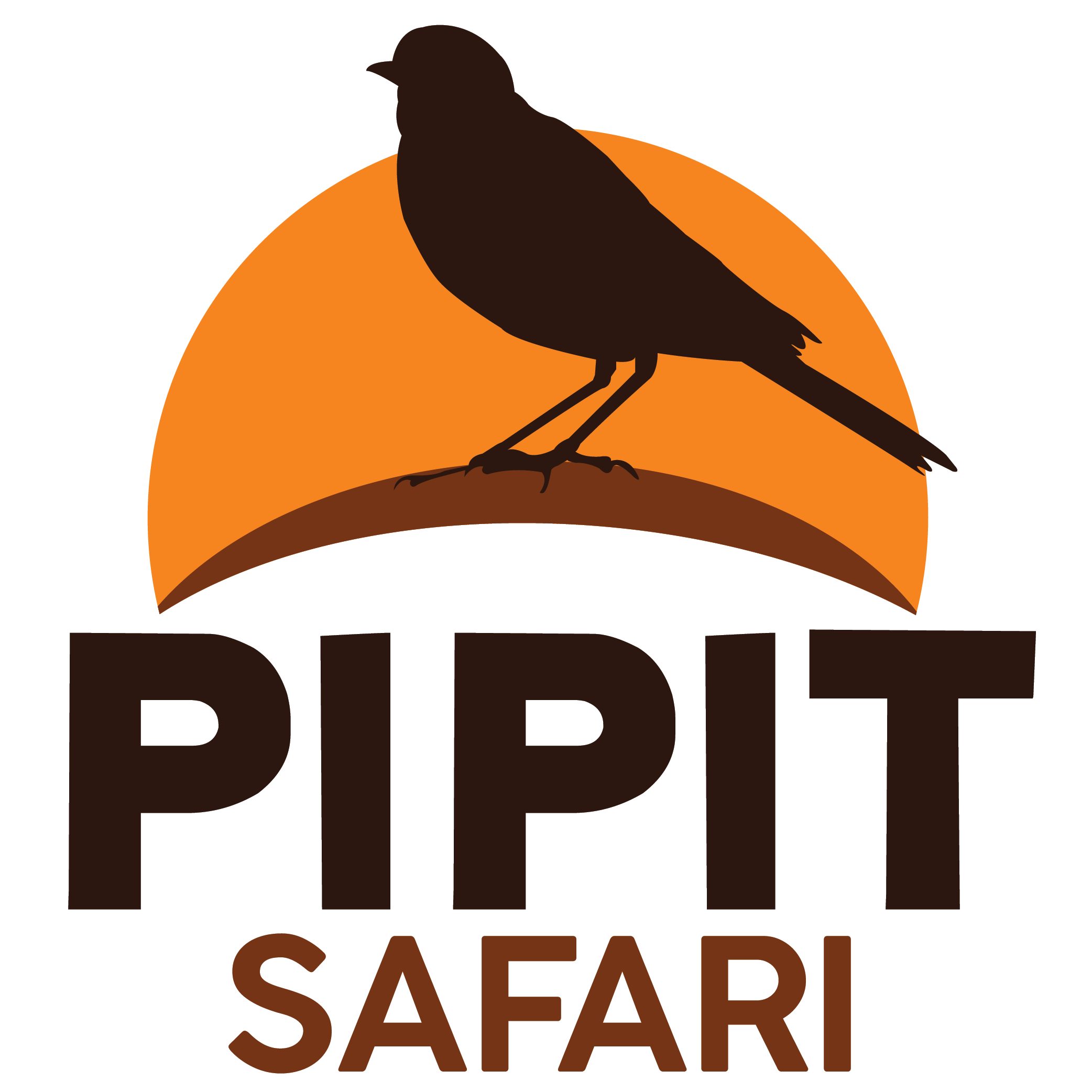 PIPIT SAFARI