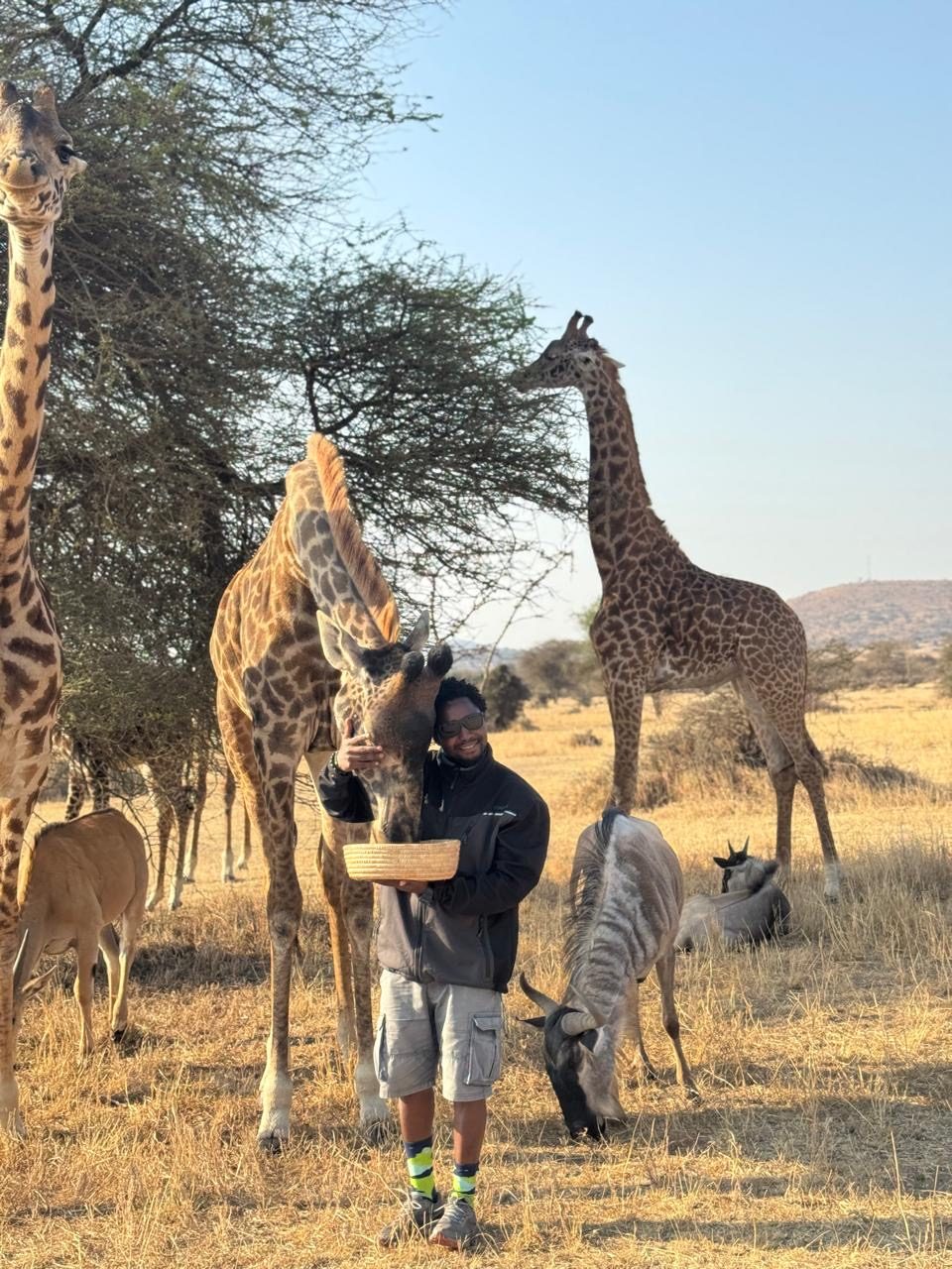 Ancora Mufambi Safari & Tours