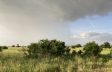 1747906829350.jpg