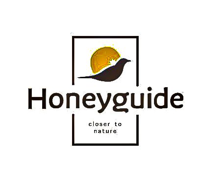 Honeyguide Conservation Lodge