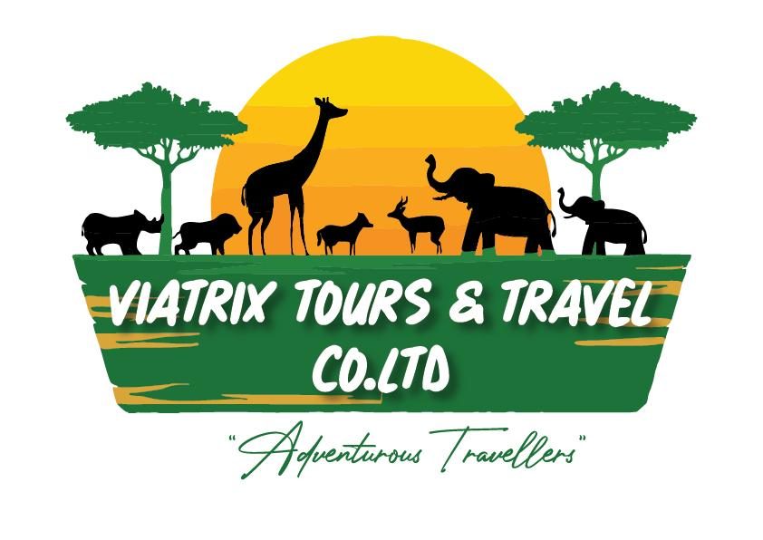 VIATRIX TOURS AND TRAVEL CO LTD