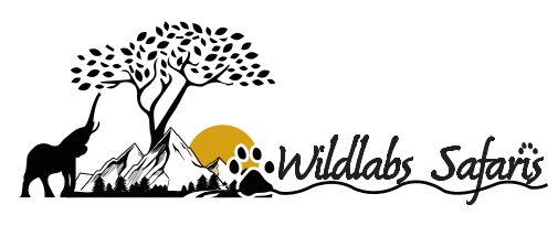 Wildlabs Safaris Ltd