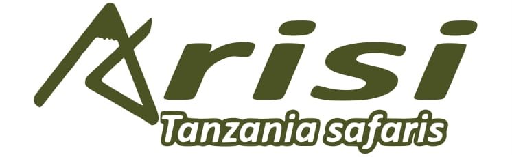 Arisi Safaris Limited