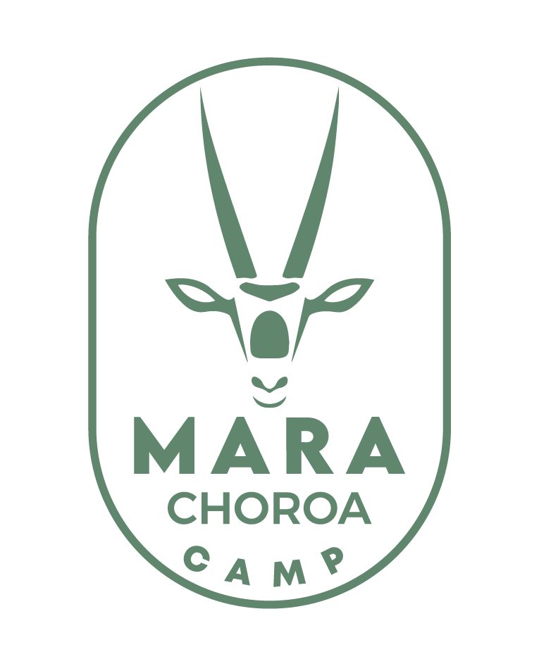 Mara Choroa Camp, 