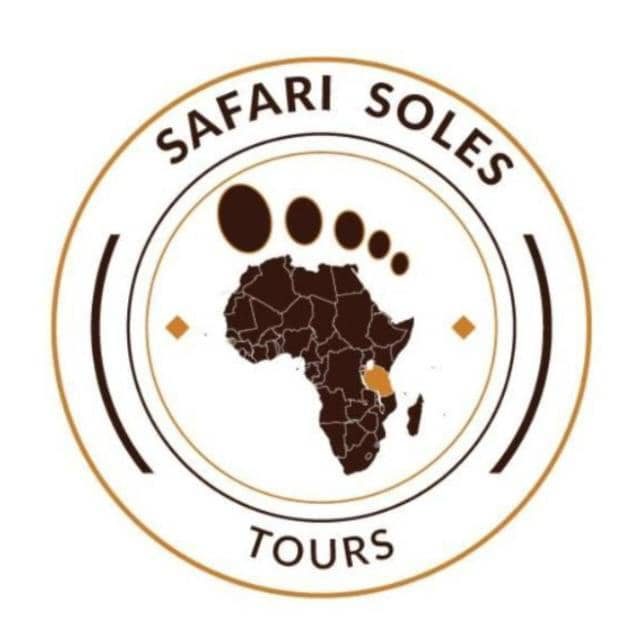 Safari soles Tours